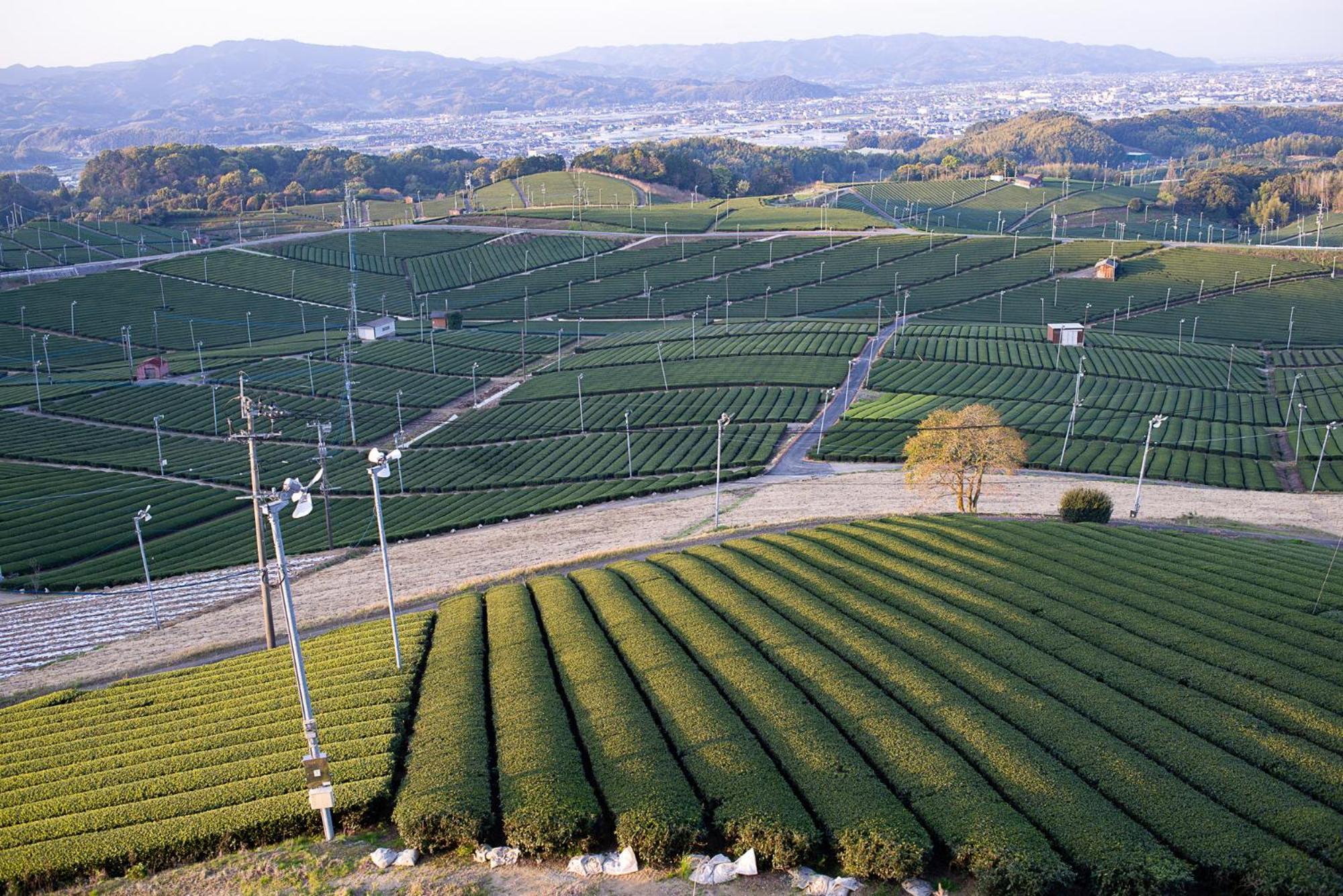 Nipponia Hotel Yamefukushima Merchant Town Tagawa Luaran gambar